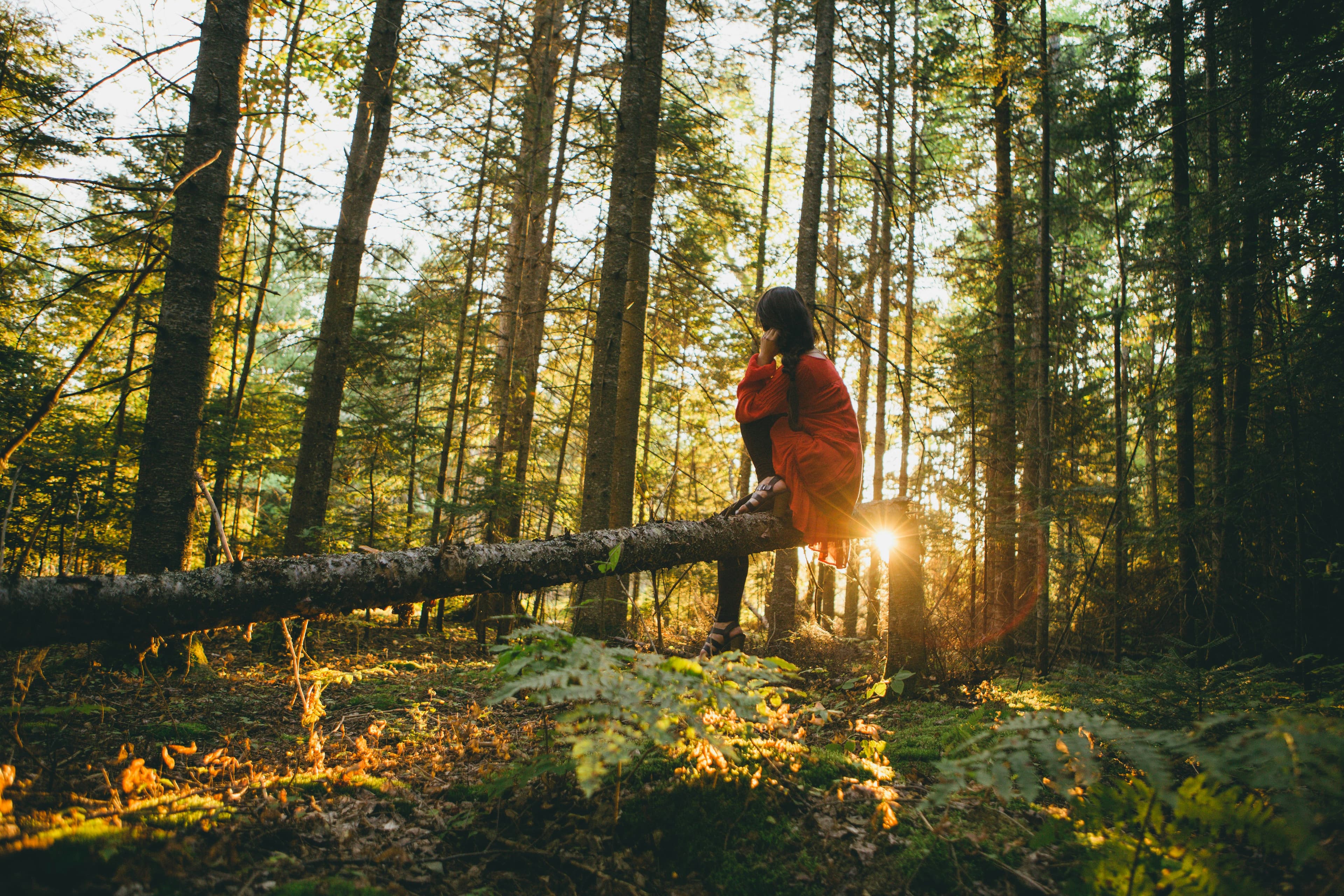 Forest Bathing